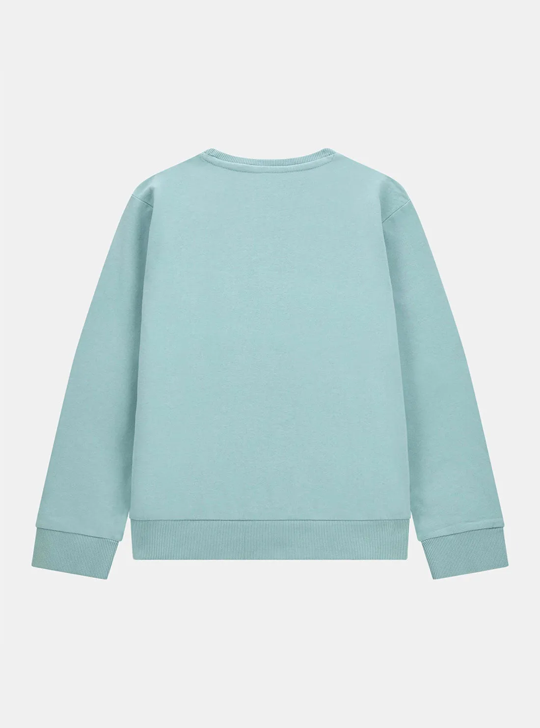 Blue Active Jumper (7-16)