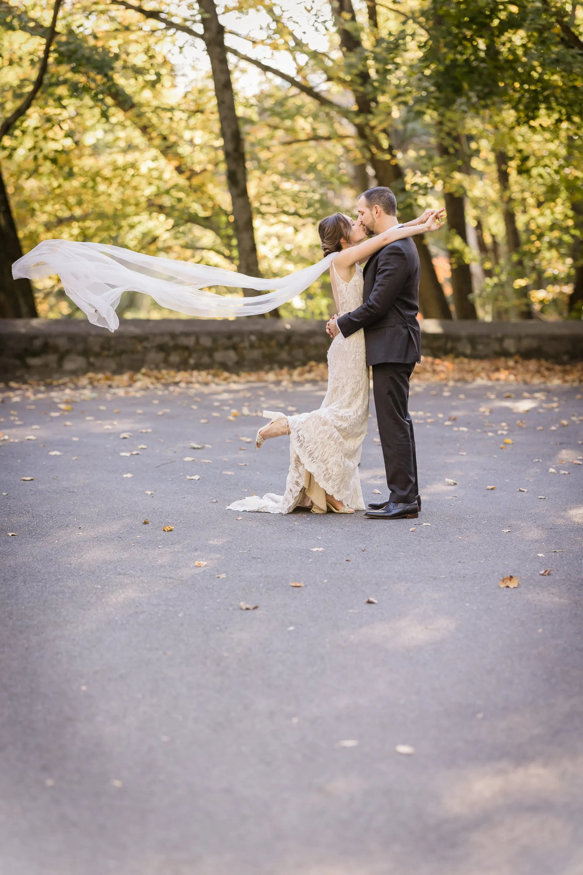 Detachable Tulle Shoulder Wing Set Veil Alternative