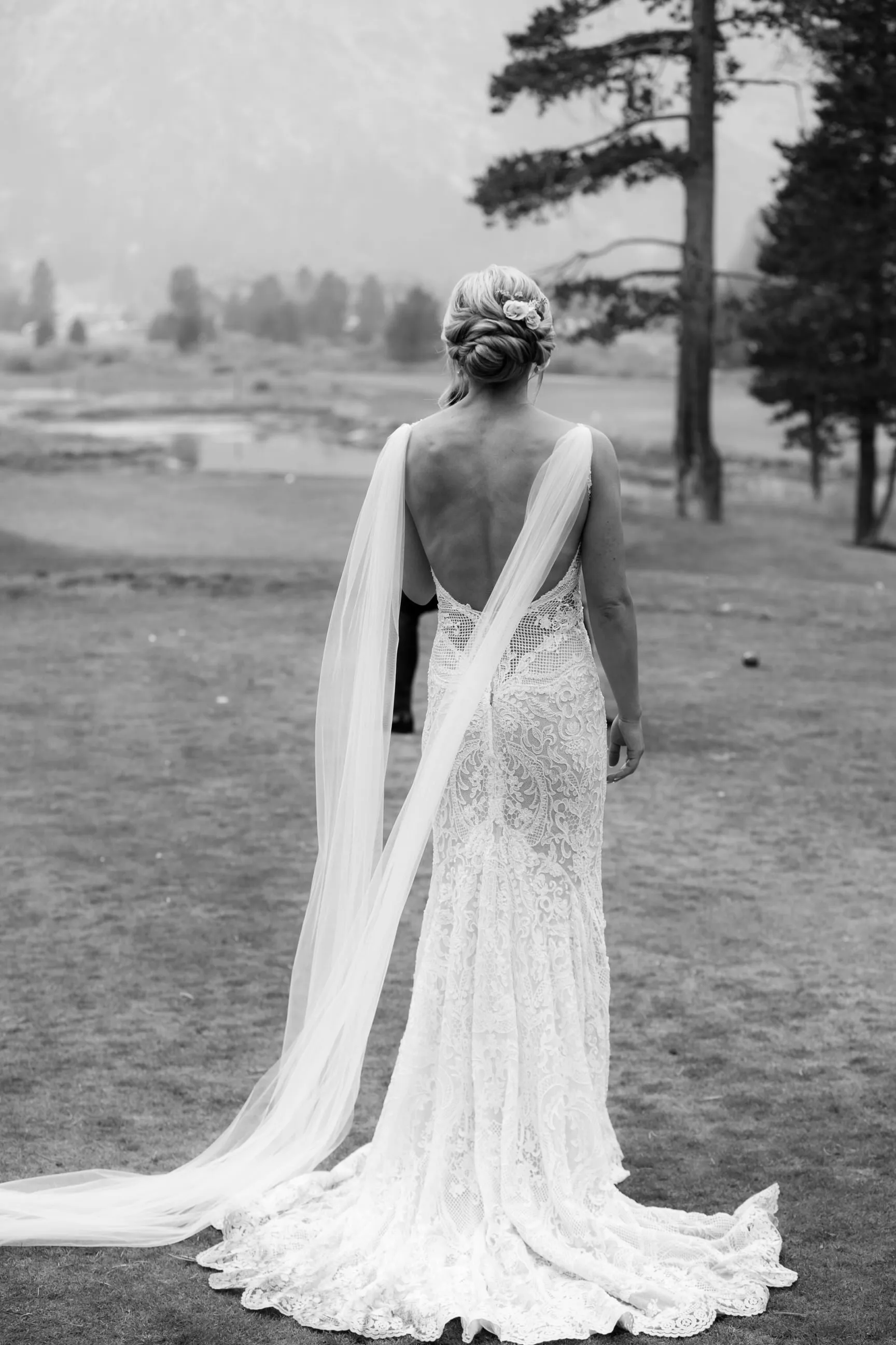 Detachable Tulle Shoulder Wing Set Veil Alternative