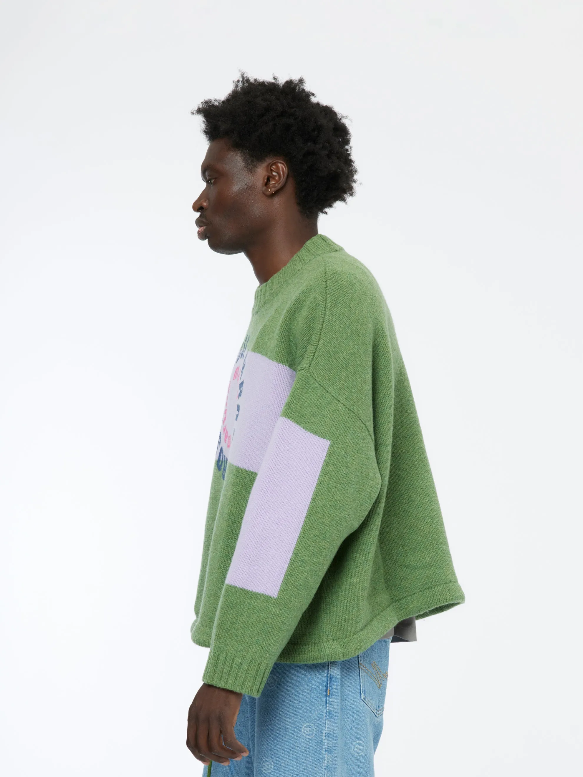 Intarsia Print Jumper (Green)