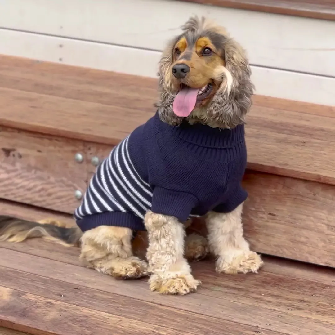 Navy Stripe Dog Jumper
