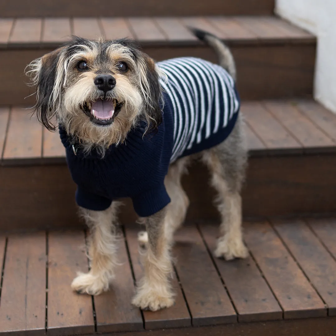 Navy Stripe Dog Jumper