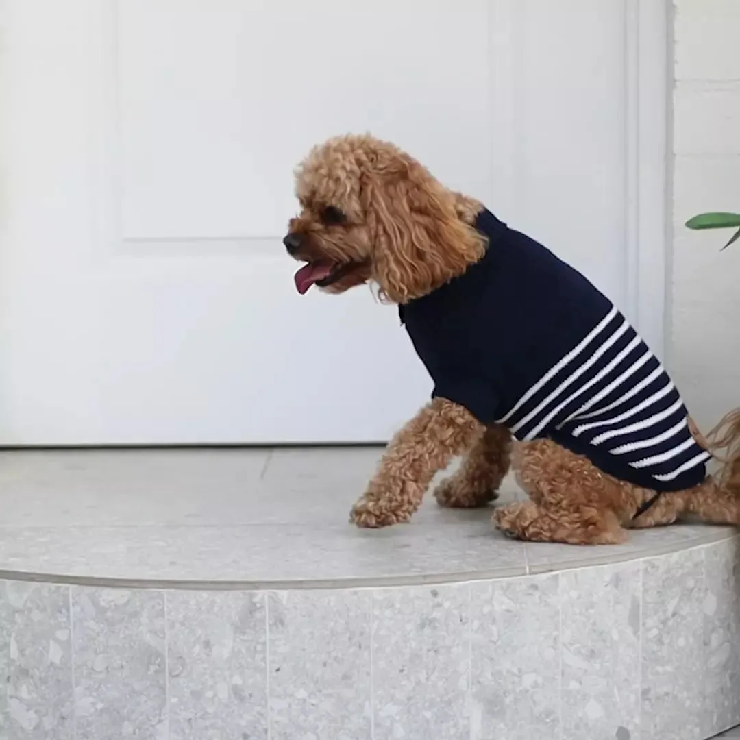 Navy Stripe Dog Jumper