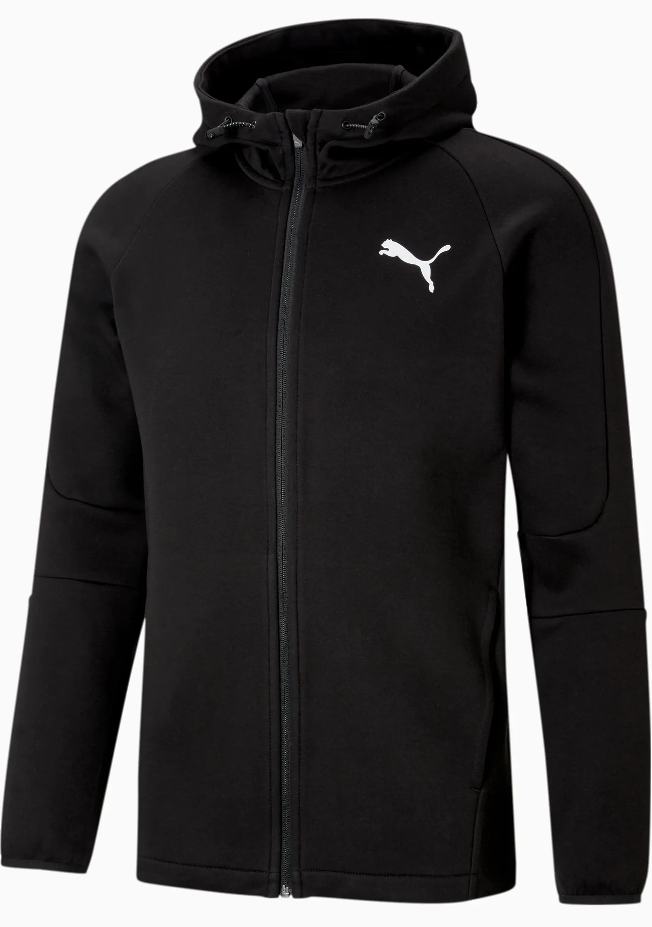 Puma Mens EVO Stripe Core FZ Hoodie Black <br> 585812 01