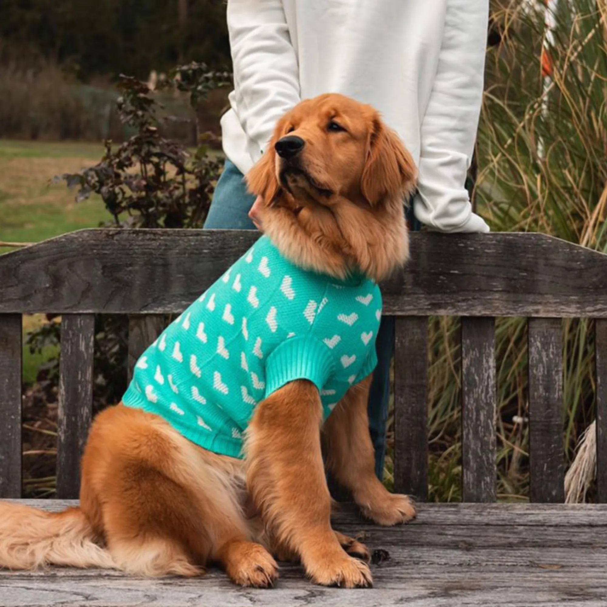 Teal Heart Knitted Dog Jumper or Cat Jumper