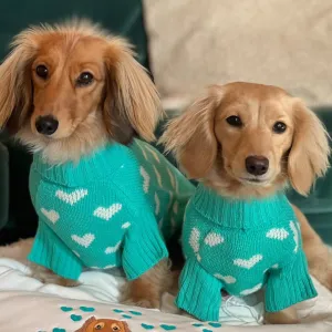 Teal Heart Knitted Dog Jumper or Cat Jumper