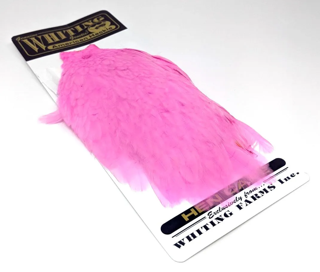 Whiting American Hen Cape