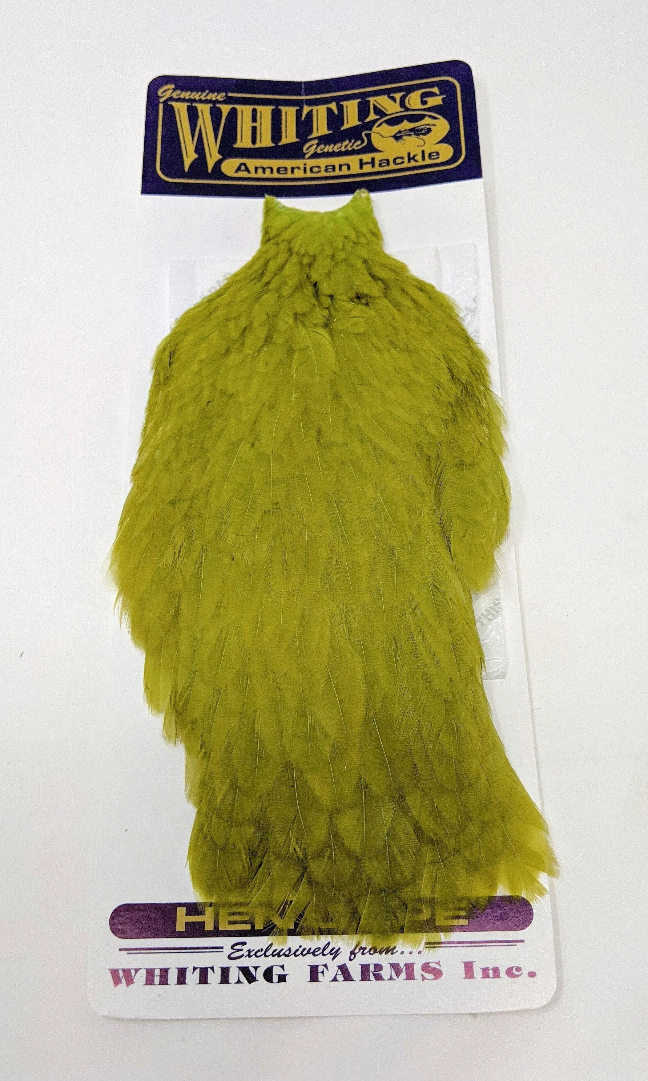 Whiting American Hen Cape