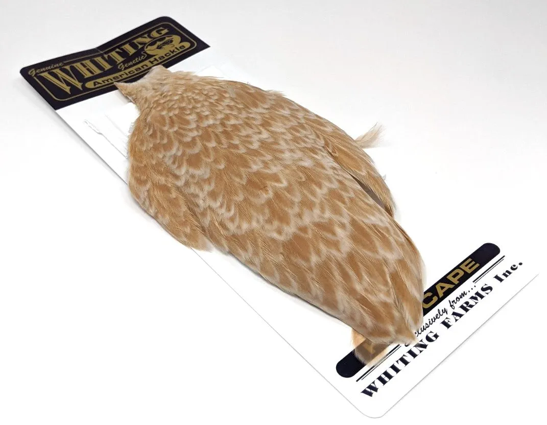 Whiting American Hen Cape